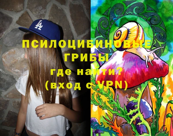 меф Белокуриха