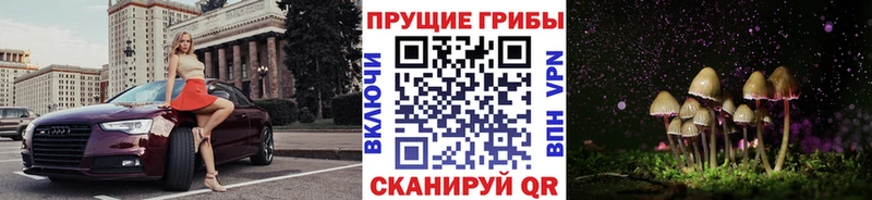 Галлюциногенные грибы прущие грибы  наркотики  Волхов 