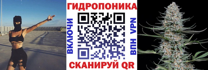 наркошоп  Волхов  mega как зайти  Шишки марихуана конопля 